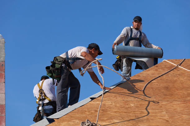 Roof Repair Estimates in South Elgin, IL
